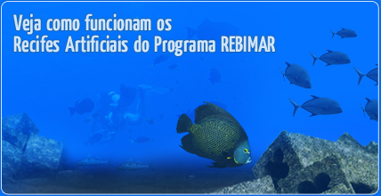 Veja como funcionam os Recifes Artificiais do Programa REBIMAR